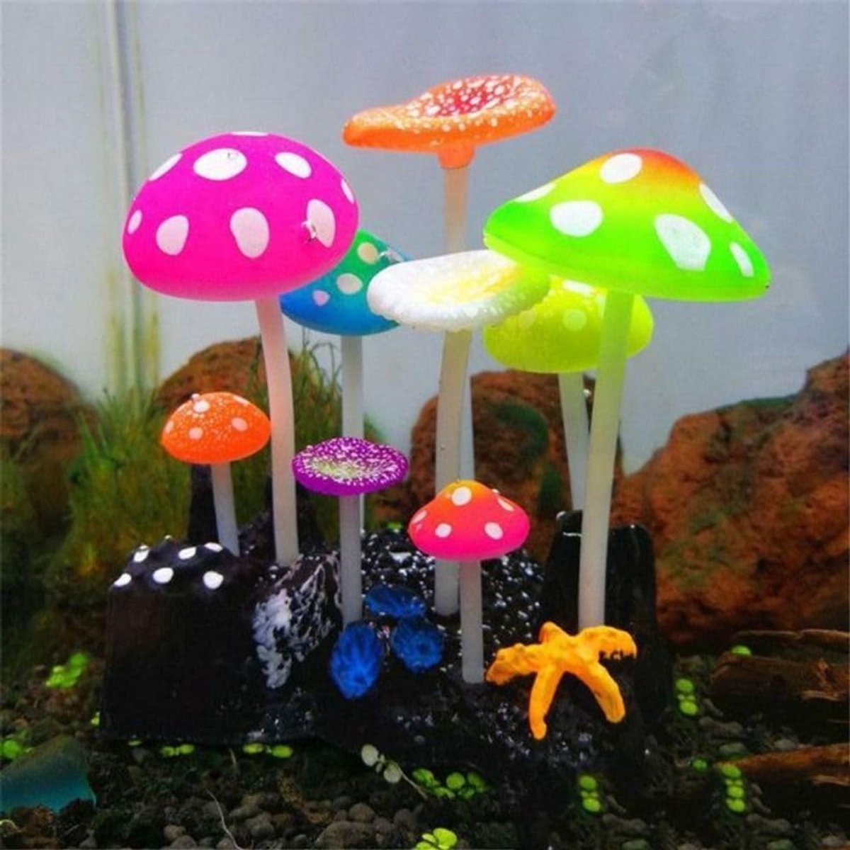9 Mini Kunstmatige Decoratieve Paddestoelen - Afmetingen: 12 cm hoog - 9,5 cm lange basis - 6,5 cm brede basis - Decoratieve kunstmatige paddestoelen voor aquariums - Siliconen koraalornamenten - Realistisch uiterlijk