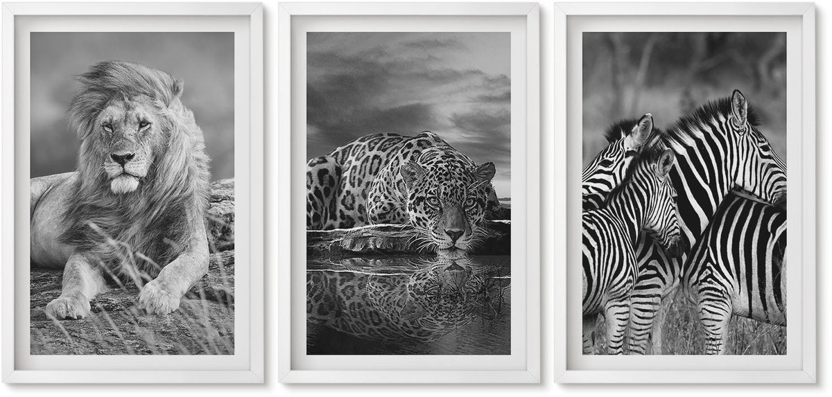 Wallfluent 3-Delige Schilderij Set - Wilde Dieren Van De Savanne: Leeuw, Jaguar En Zebra. - 40 x 60 - Muurdecoratie - Decoratieve Schilderijen - Wohnzimmer - Moderne Wanddecoratie