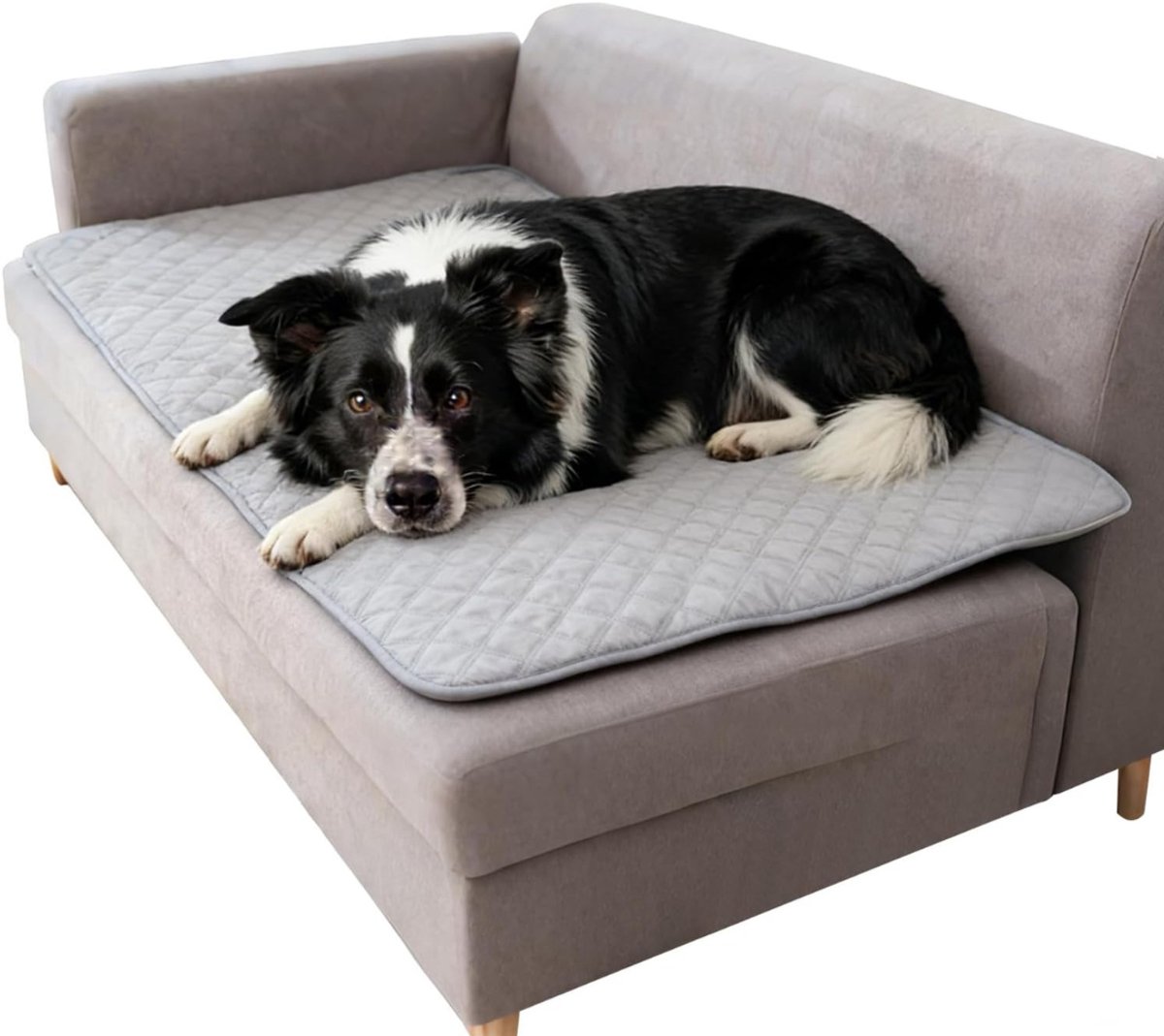 Zavio® Hondenmat Buiten - Huisdierdeken Opvouwbaar - Reizen met Huisdier -