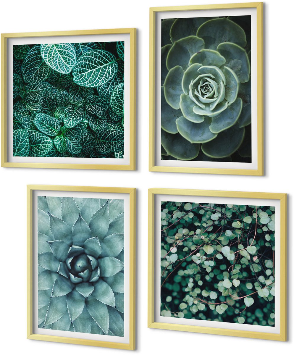 Coloray 4-Delige Schilderij Set - Vetplanten in groene en turquoise tinten. - 40 x 40 cm en 40 x 60 cm - Decoratieve Schilderijen - Woonkamer - Interieur - Interieur Decoratie