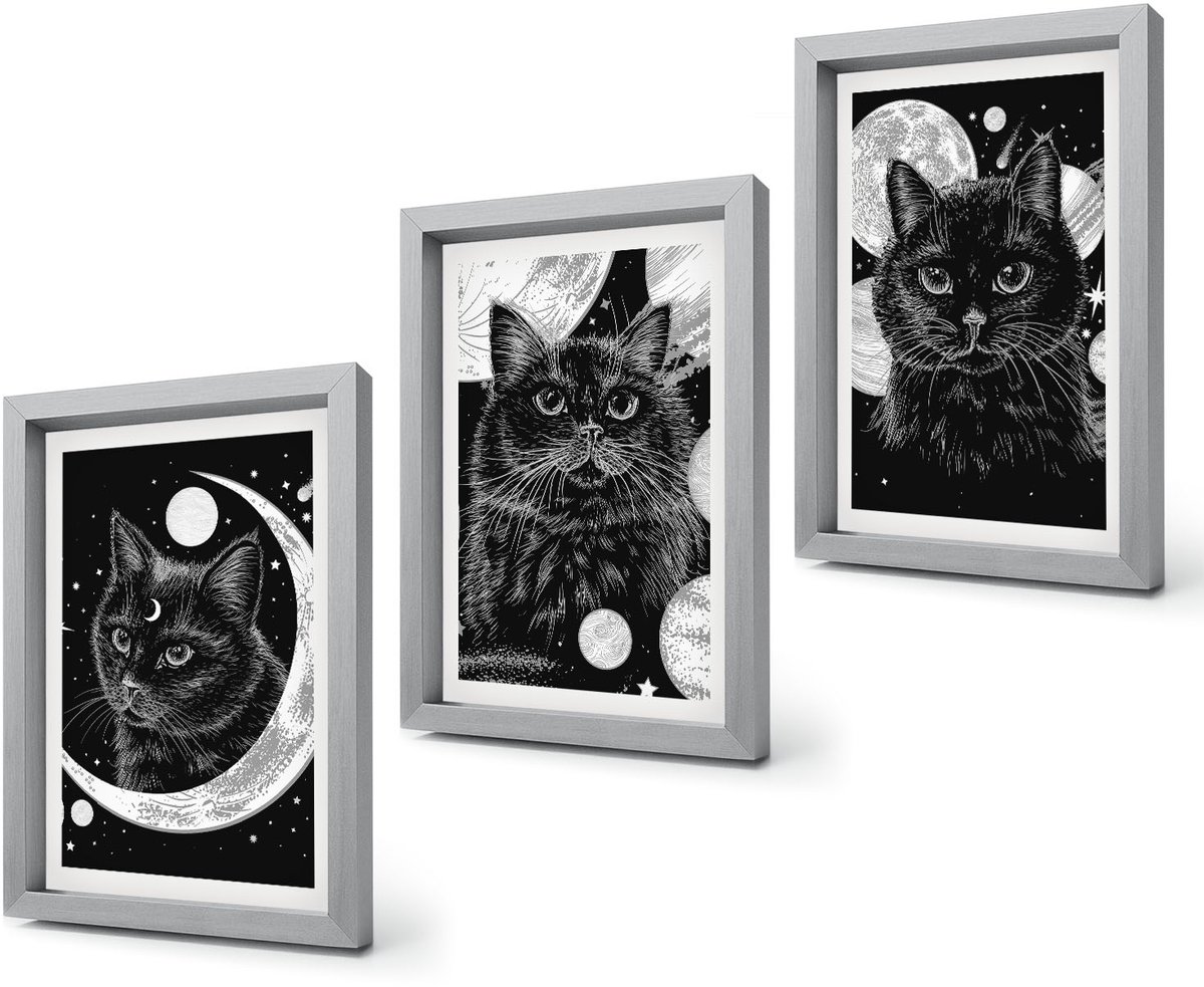 Coloray 4-Delige Schilderij Set - Zwarte katten tegen de achtergrond van de maan en planeten in de ruimte. - 20 x 30 cm - Wanddecoratie - Schilderijen Set - Kantoor - Stijlvolle Muurdecoratie Zilveren lijst