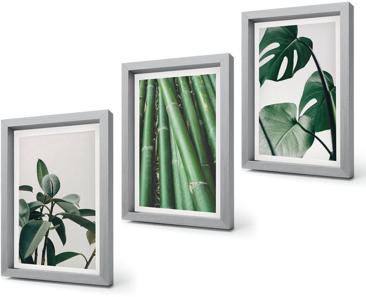 Coloray 4-Delige Schilderij Set - Bamboe stengels, kamerplanten en Monstera bladeren - 20 x 30 cm - Schilderijen Set - Wanddecoratie - Woonkamer - Woonkamer Decoratie Zilveren lijst