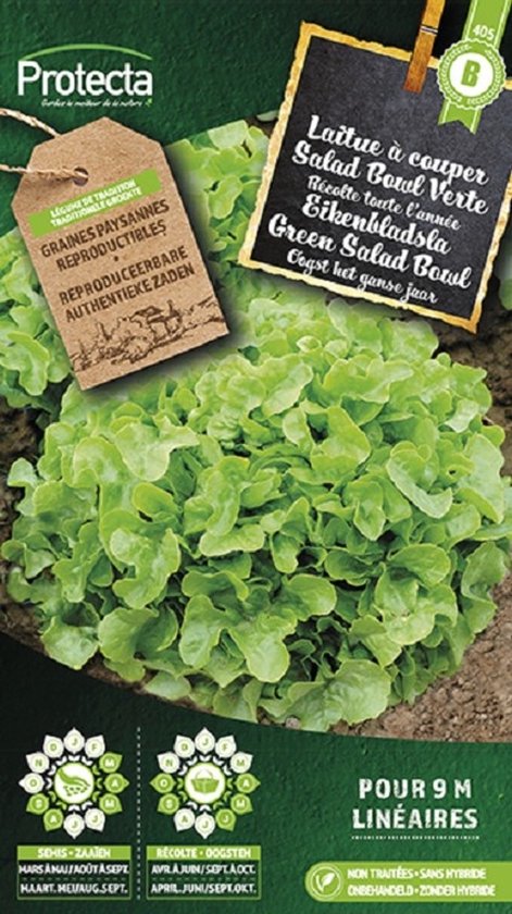 Groene eikenbladsla 'Salad Bowl', traditionele, reproduceerbare zaden van Protecta.