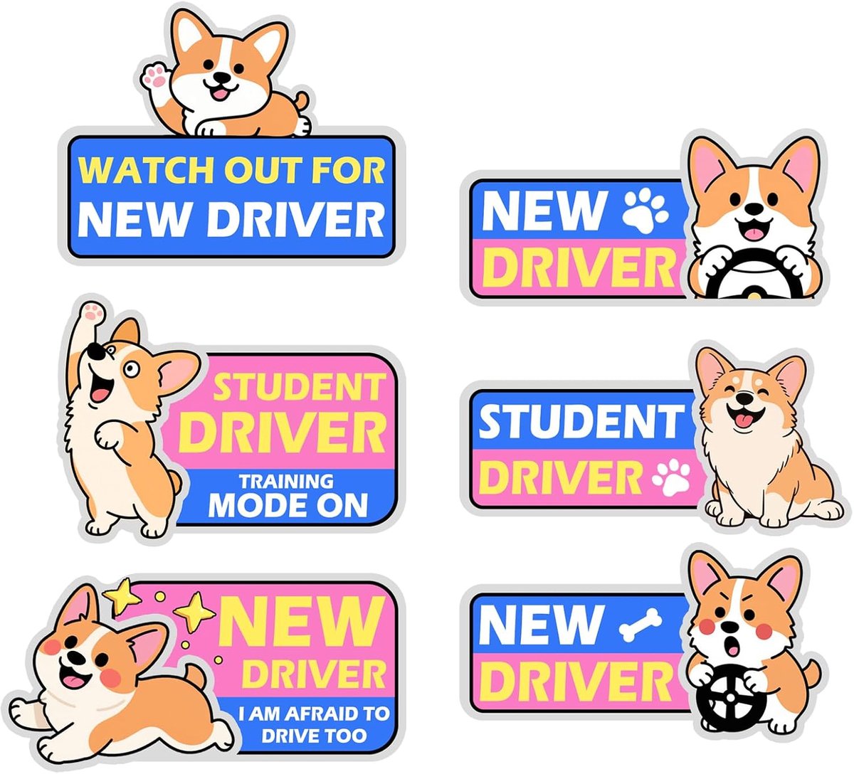 Magnetische stickers set voor beginners - 6 stuks - PVC materiaal - ideaal voor nieuwe bestuurders - ShopVlot