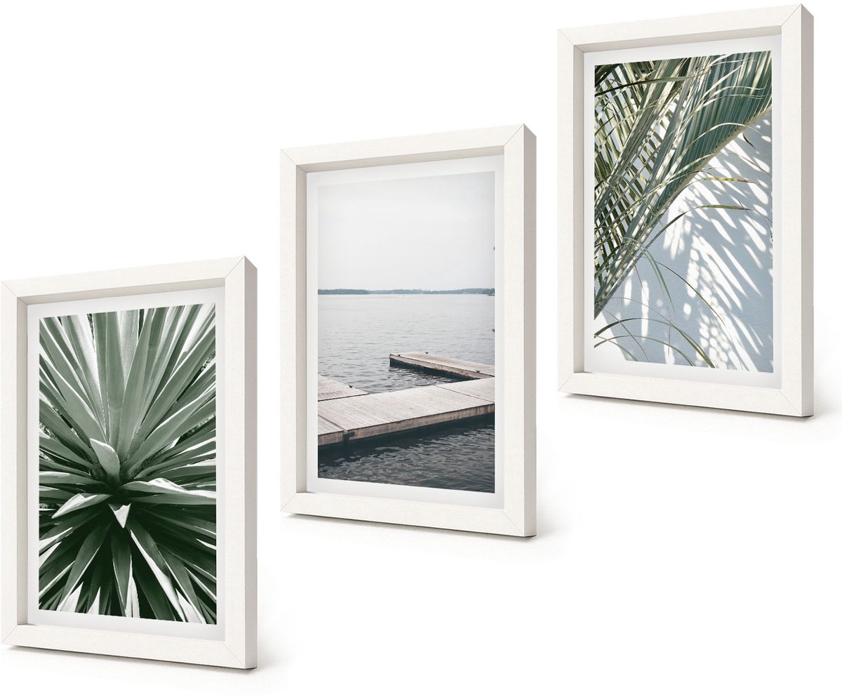 Coloray 3-Delige Schilderij Set - Palmbladerenplant en houten brug - 20x30 - Decoratieve Schilderijen - Wanddecoratie - Hal - Interieur Decoratie