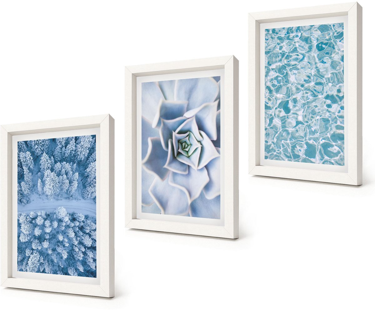 Coloray 3-Delige Schilderij Set - Winterbos, blauwe bloem, blauw wateroppervlak - 20x30 - Wanddecoratie - Schilderijen Set - Interieur - Decoratieve Schilderijen
