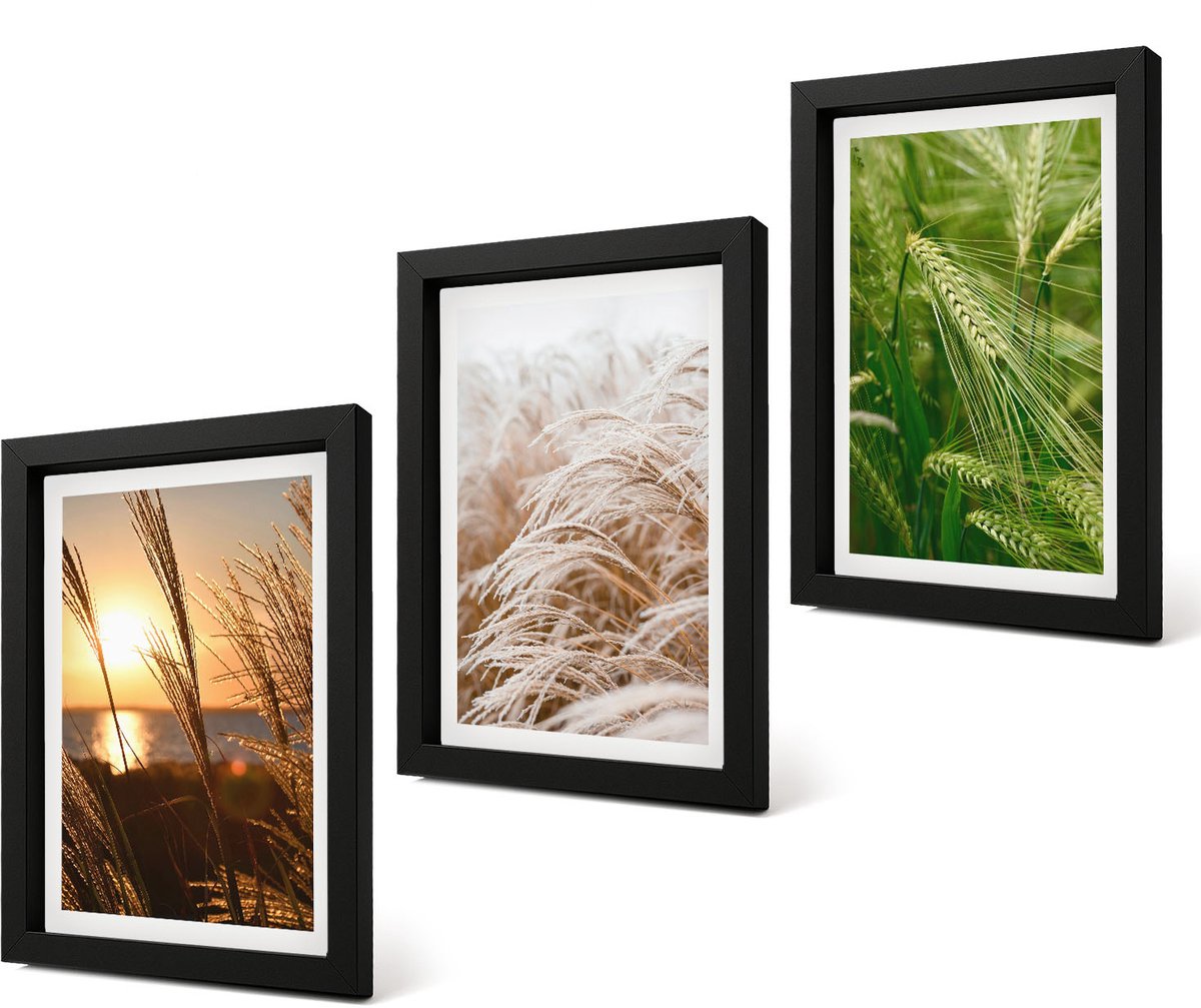 Coloray 4-Delige Schilderij Set - Verschillende soorten grassen, kleurrijke natuur - 20 x 30 cm - Moderne Wanddecoratie - Slaapkamer - Woonkamer Decoratie