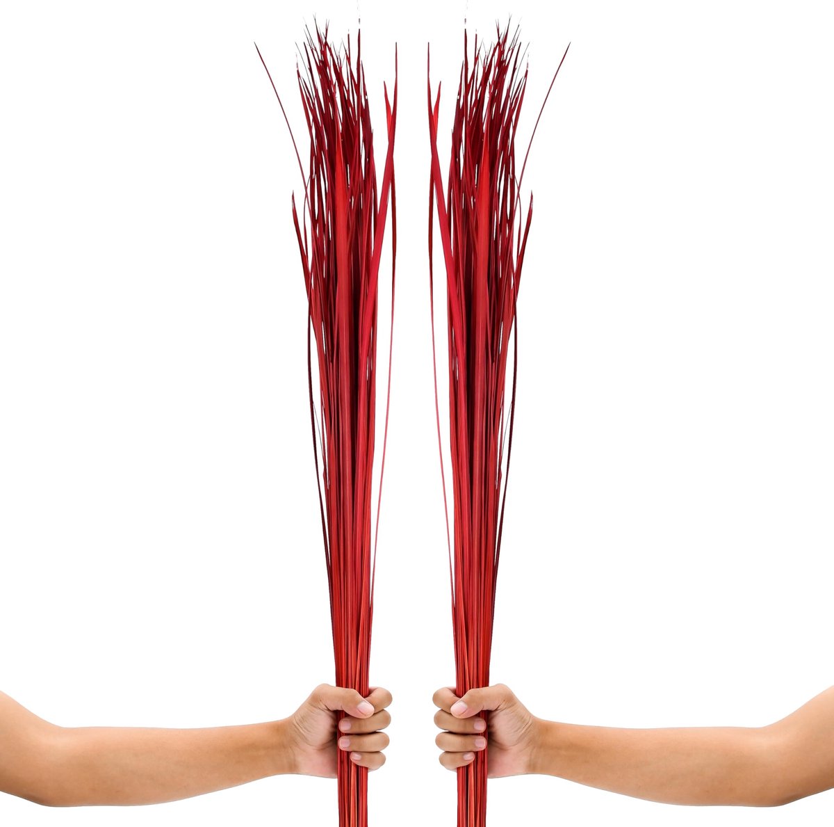 Famanu – Gedroogd Siergras voor Vloervazen 115 cm Droogboeket Set 2