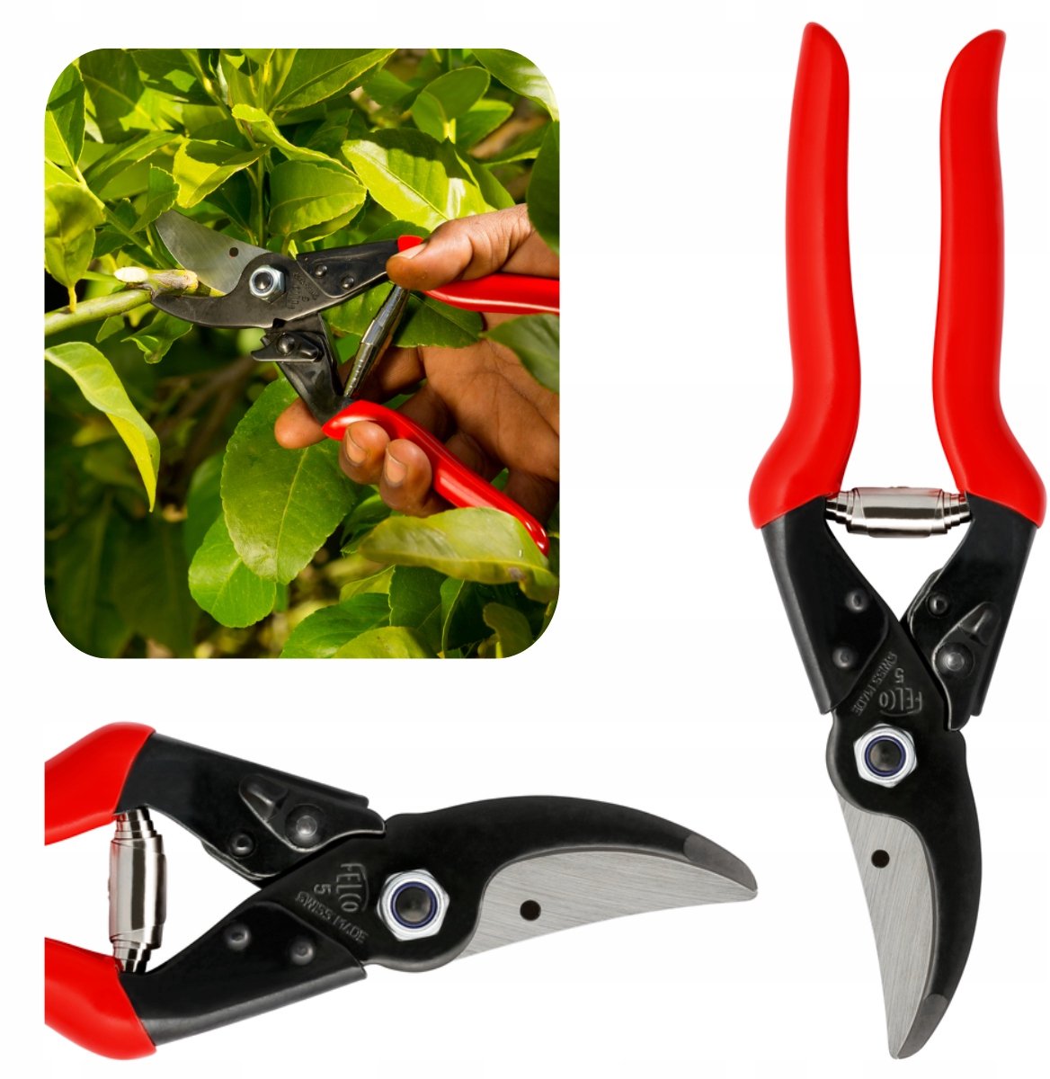 Felco 5 Sécateur - Pour grandes mains - Diamètre de coupe max. 25 mm