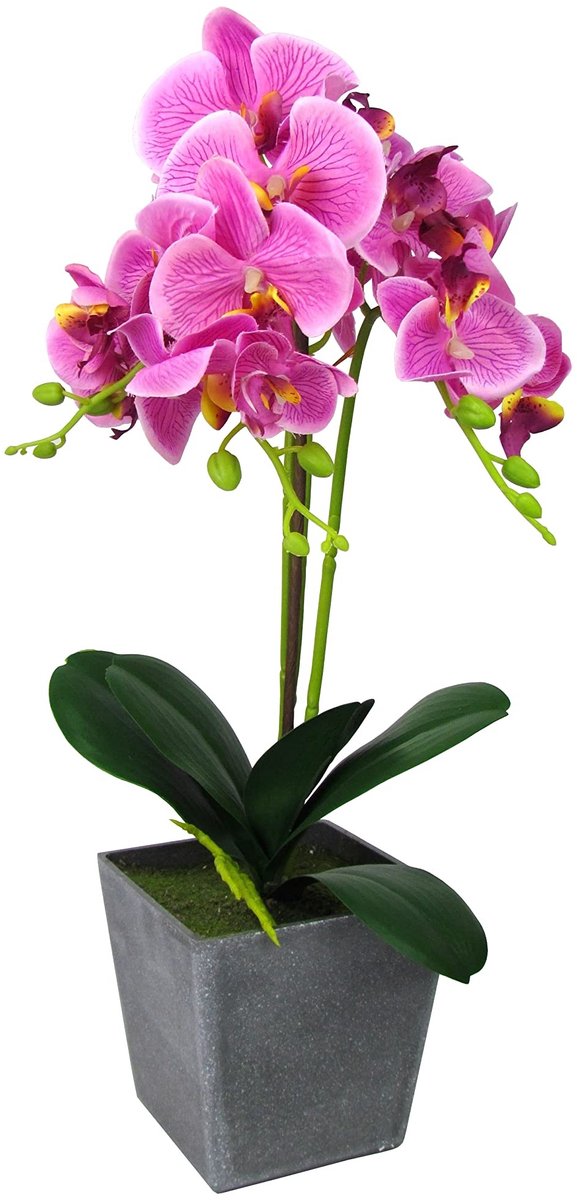 Solidchoice - Kunstorchidee in Rechthoekige Pot Donkerroze 50cm