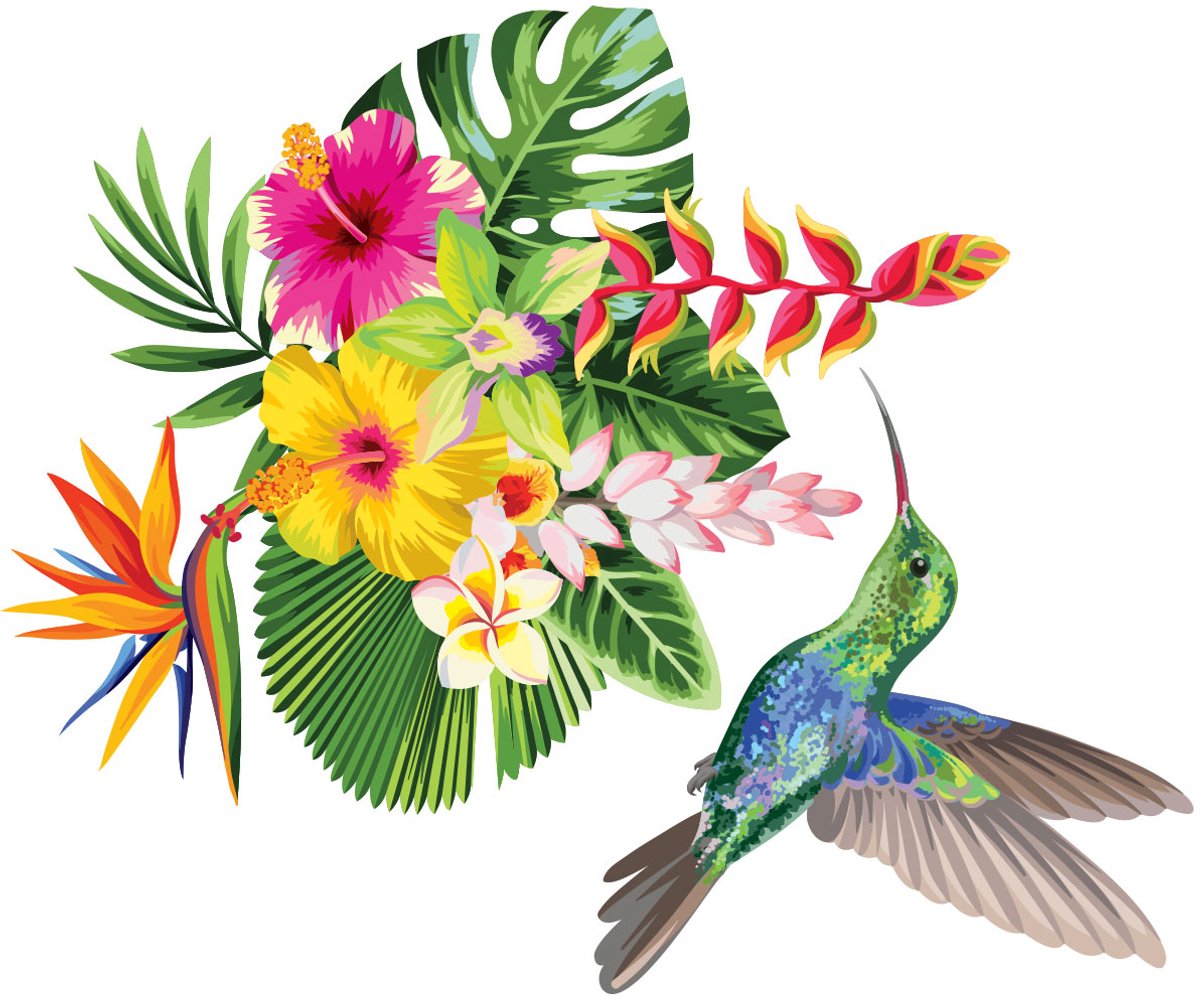 Ambiance Sticker Muurstickers - Tropische bloemen en kolibrie - Transparante achtergrond - 20x25 cm Multi color
