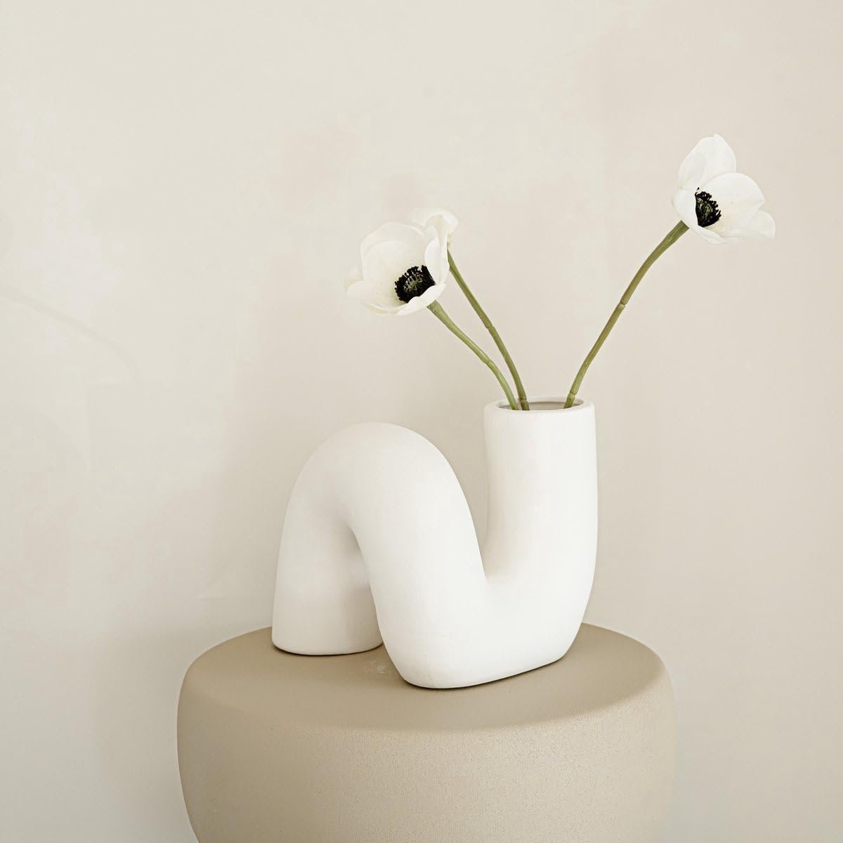 SnelShoppen - Winding Vase - Curved White Flower Vase - Decoratieve Vaasje voor Woonkamer - Tube Vaasje - Modern Interieur - Elegante Bloemenvase