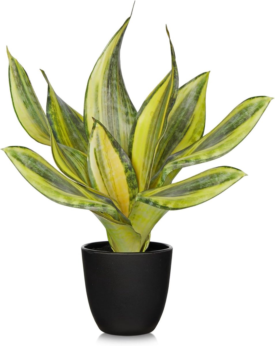 SnelShoppen - Kunstplanten, Boogvezel, 37 cm, Kunstplanten in Pot, Decoratieve Planten, Kunst Boogvezel, Plastic Planten voor Tafel, Decoratie, Plank,