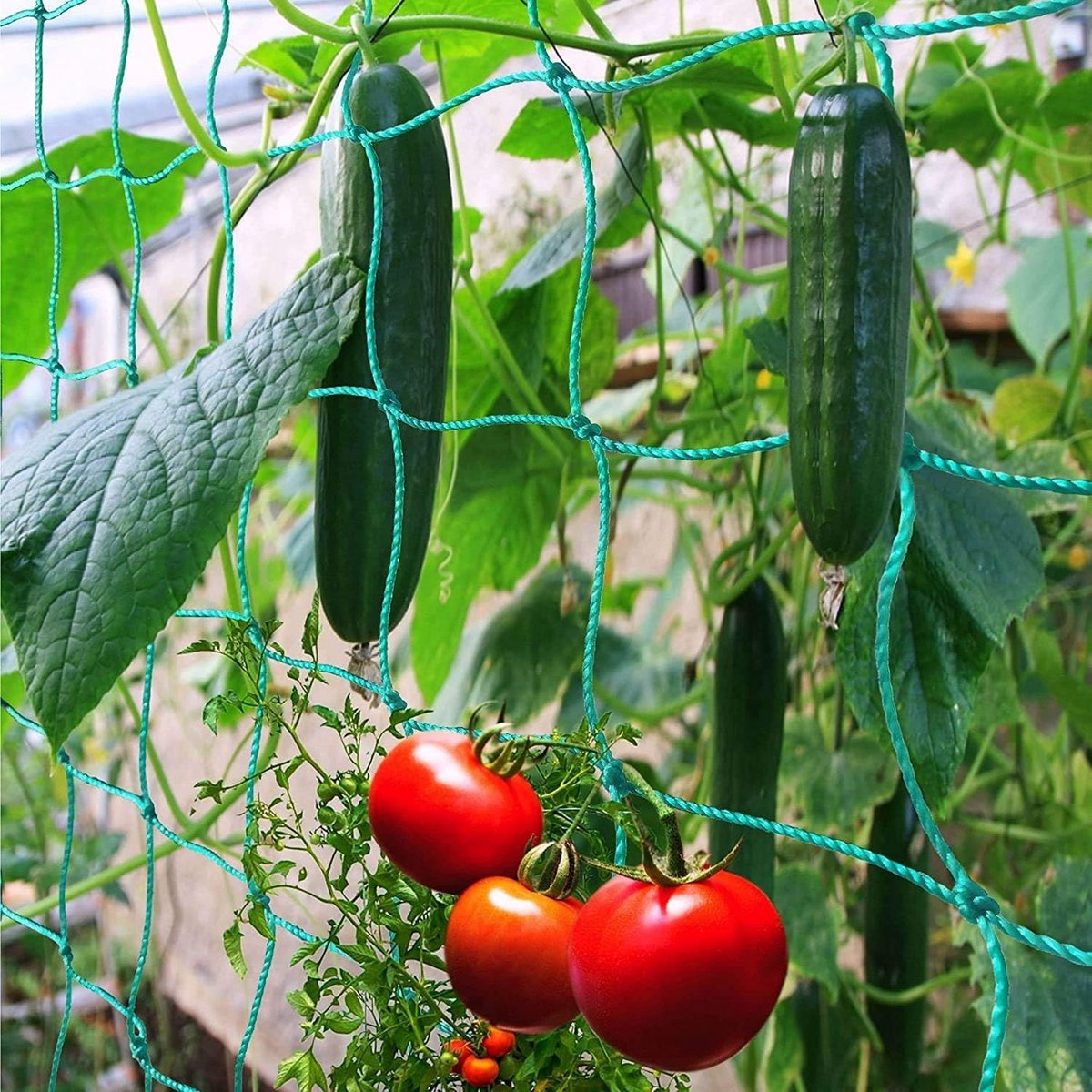 Duurzaam Tuinhek van 2 x 8 m voor Klimplanten - Ideaal voor Tomaten, Druiven, Bonen en Groenten met 10 x 10 cm Mesh en 27 Nylon Draden