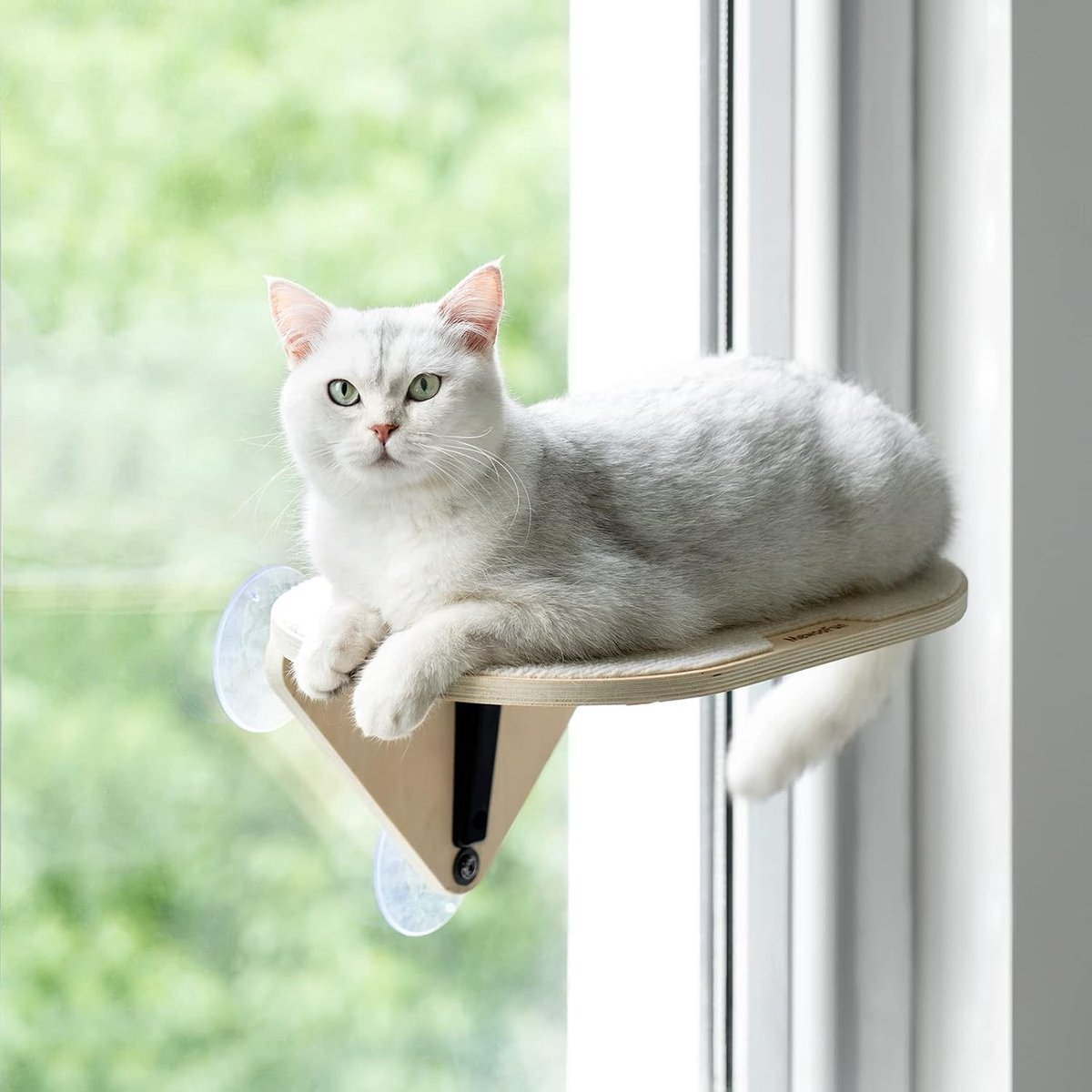 Hangmat voor katten met venster, houten kattenbed met sterke zuignappen, comfortabel en stijlvol voor huisdieren