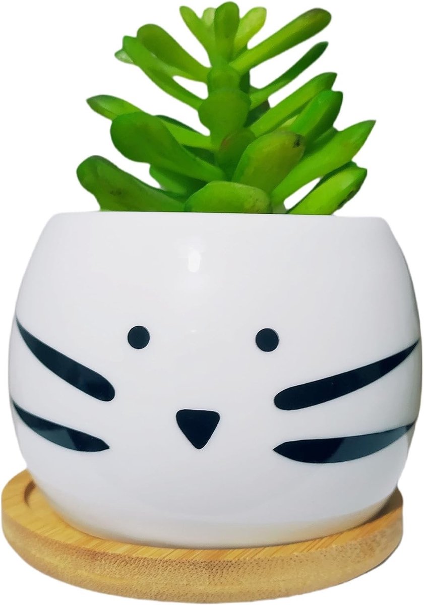 Katvormige Keramische Succulent Pot met Bamboe Onderlegger - Wit