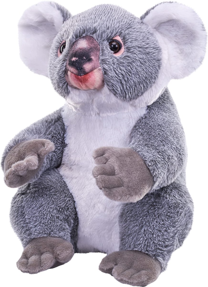 Pluche Koala Knuffel - Artistieke Collectie