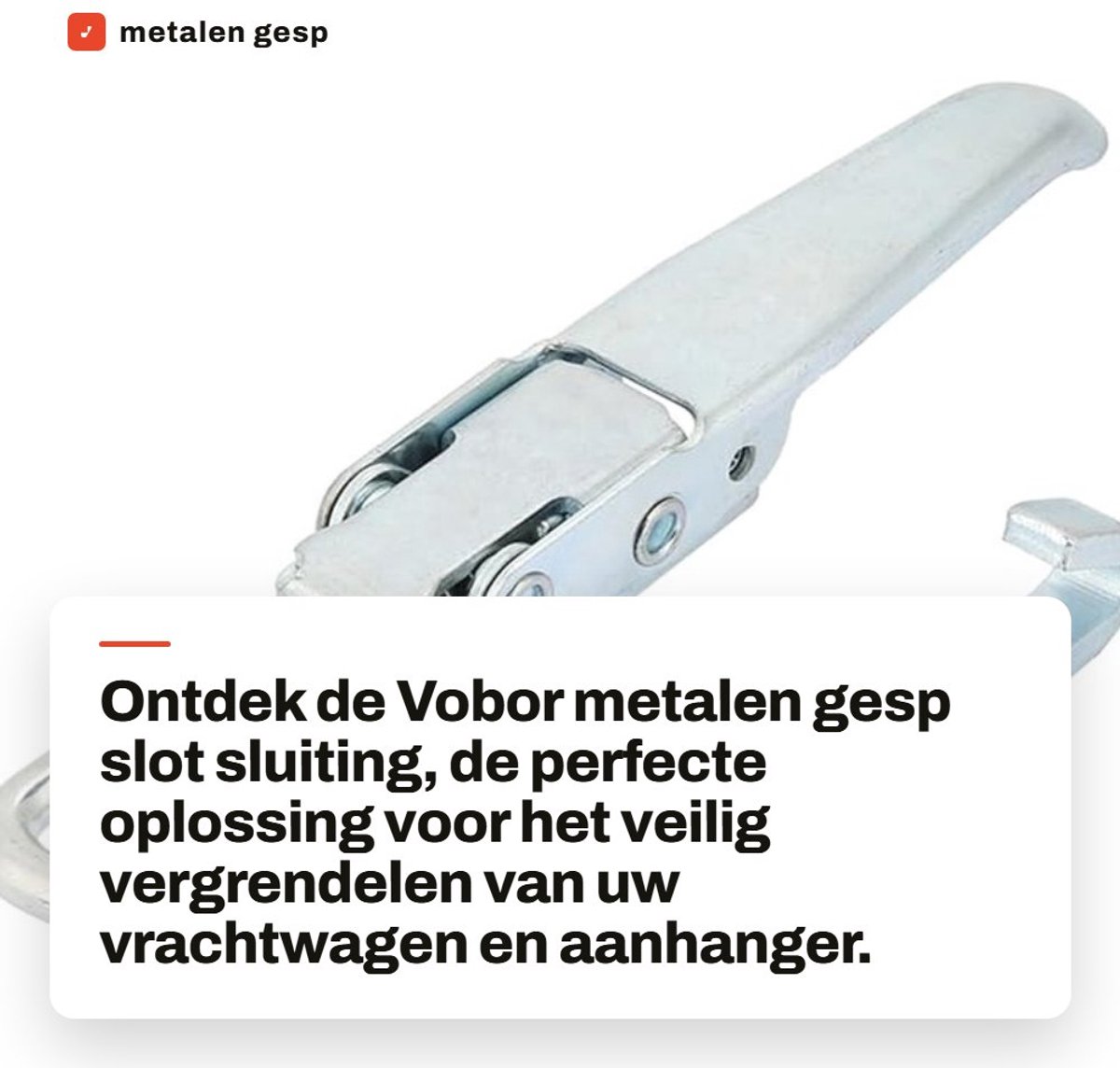 Dailygoods- Gesp Metalen Vergrendelbaar - Sluiting Vrachtwagen - Klem - Moraillon - Vergrendeling - Duurzaam Materiaal