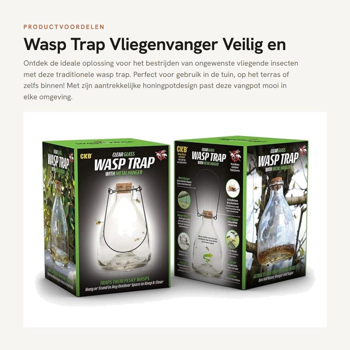 Dailygoods- Wespentrap Grote Catcher - Glazen Fles - Metalen Hanger - Insecten Vanger - Tuin Ongediertebestrijding - Veilig en Niet-giftig - Insectenval