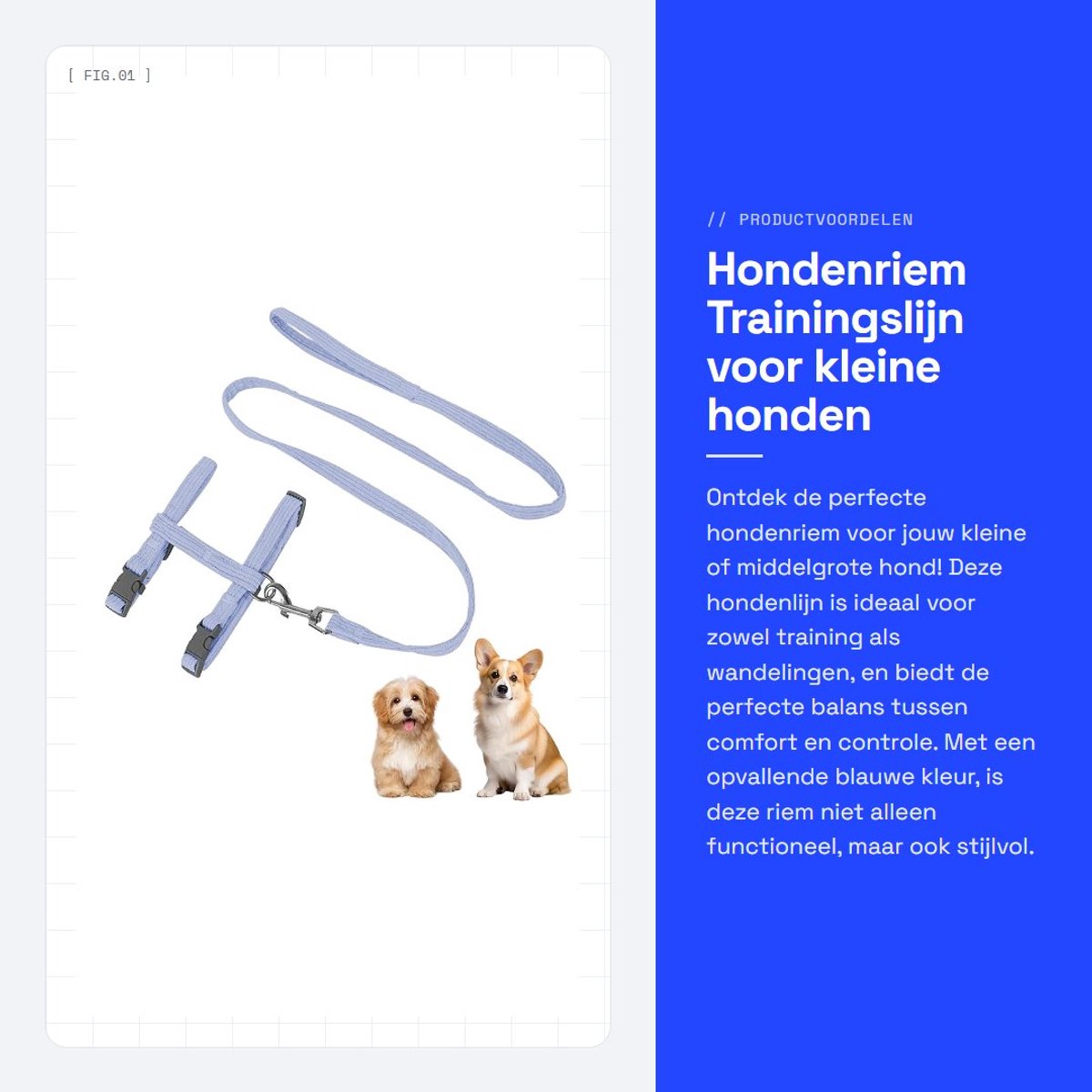 Dailygoods- Hondenlijn voor middelgrote honden - Hondenriem met sleeptouw - Trainingslijn - Blauw - Geschikt voor honden 15-25 kg - Automatisch verstelbaar