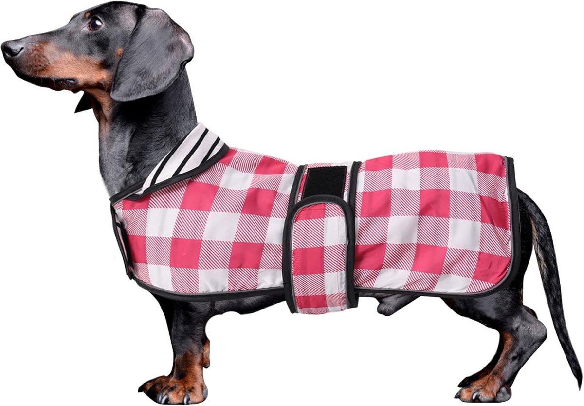 Dachshund Regenjas voor Miniatuur Teckels met Reflecterende Streep en Verstelbare Bandjes - Roze Geruit - Ideaal voor Herfst en Winter - XS