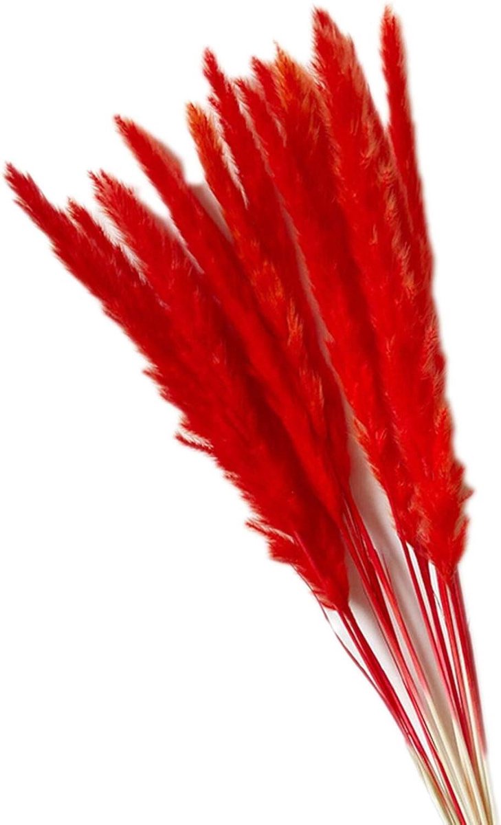 Gedroogd Rietgras - Pampasgras Bloemen - Woonkamer Decoratie - Natuurlijk Gedroogd - 15 Stuks 60cm - Rood