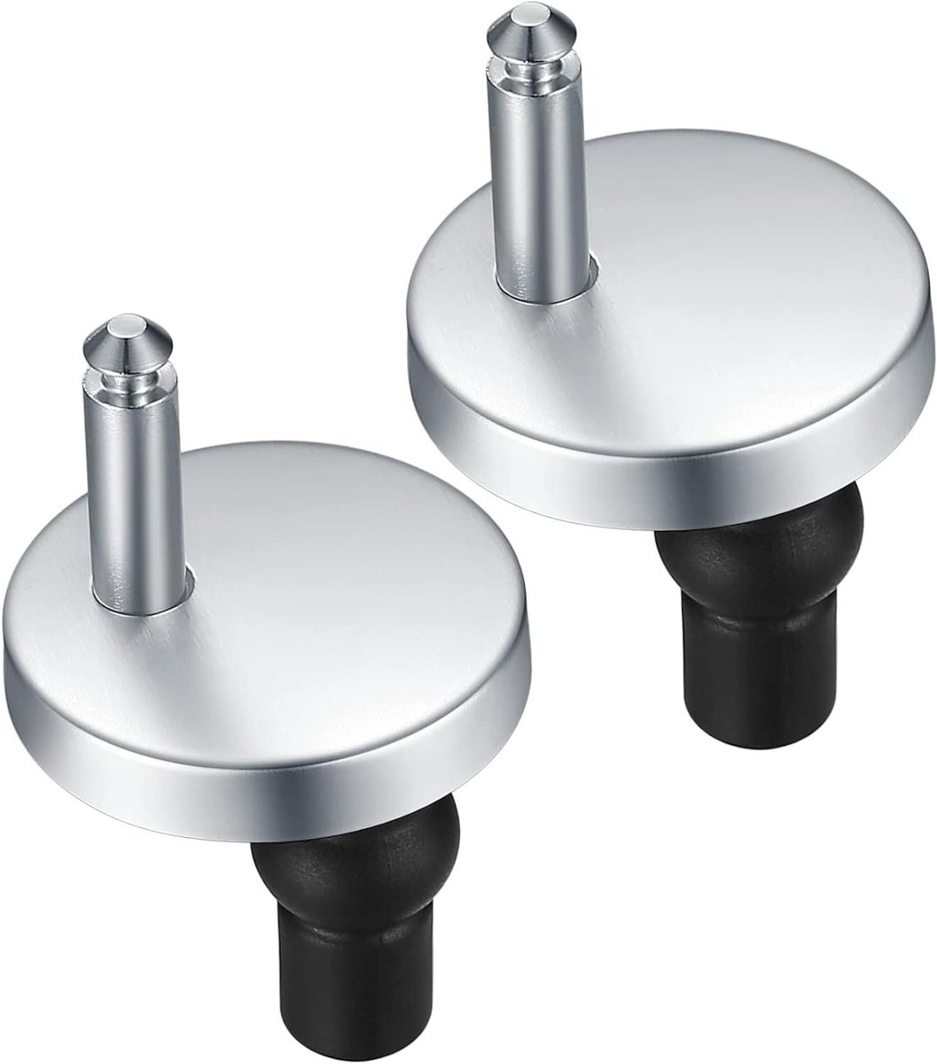 Toiletbril Schroeven - WC Bevestiging - Toilet Reparatie - Roestvrij Staal - 2 Stuks - Zilver