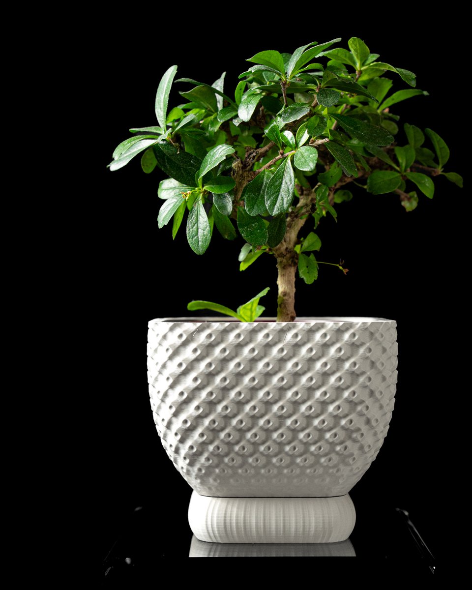 Skushy Connectplanter Bloempot - Moderne Designpot voor Kamerplanten - Sculpturale Plantenpot voor Woonkamer en Kantoor - Premium Woondecoratie