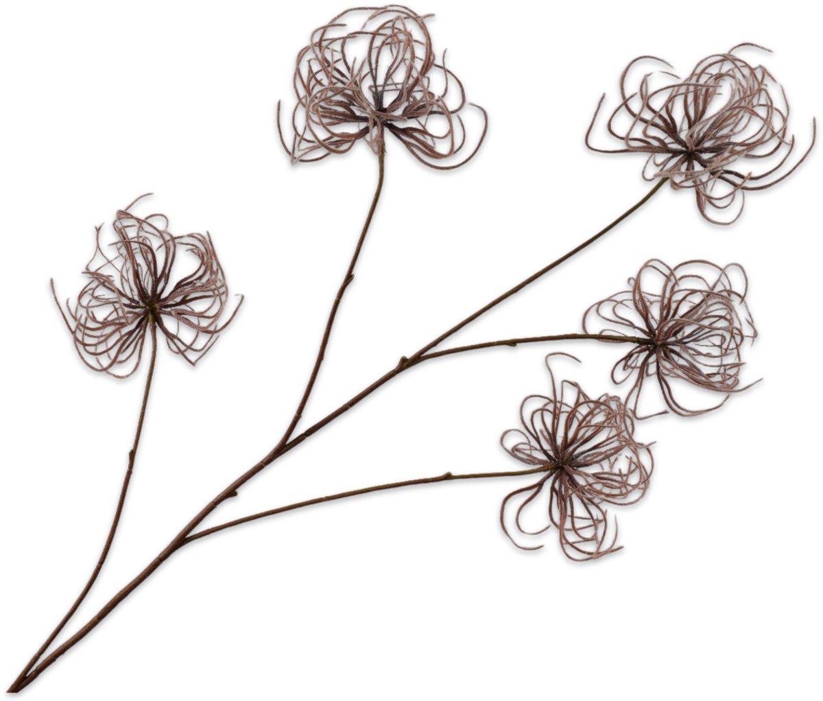Silk-ka Kunstbloem-Zijden Clematis Tak Bruin 95 cm