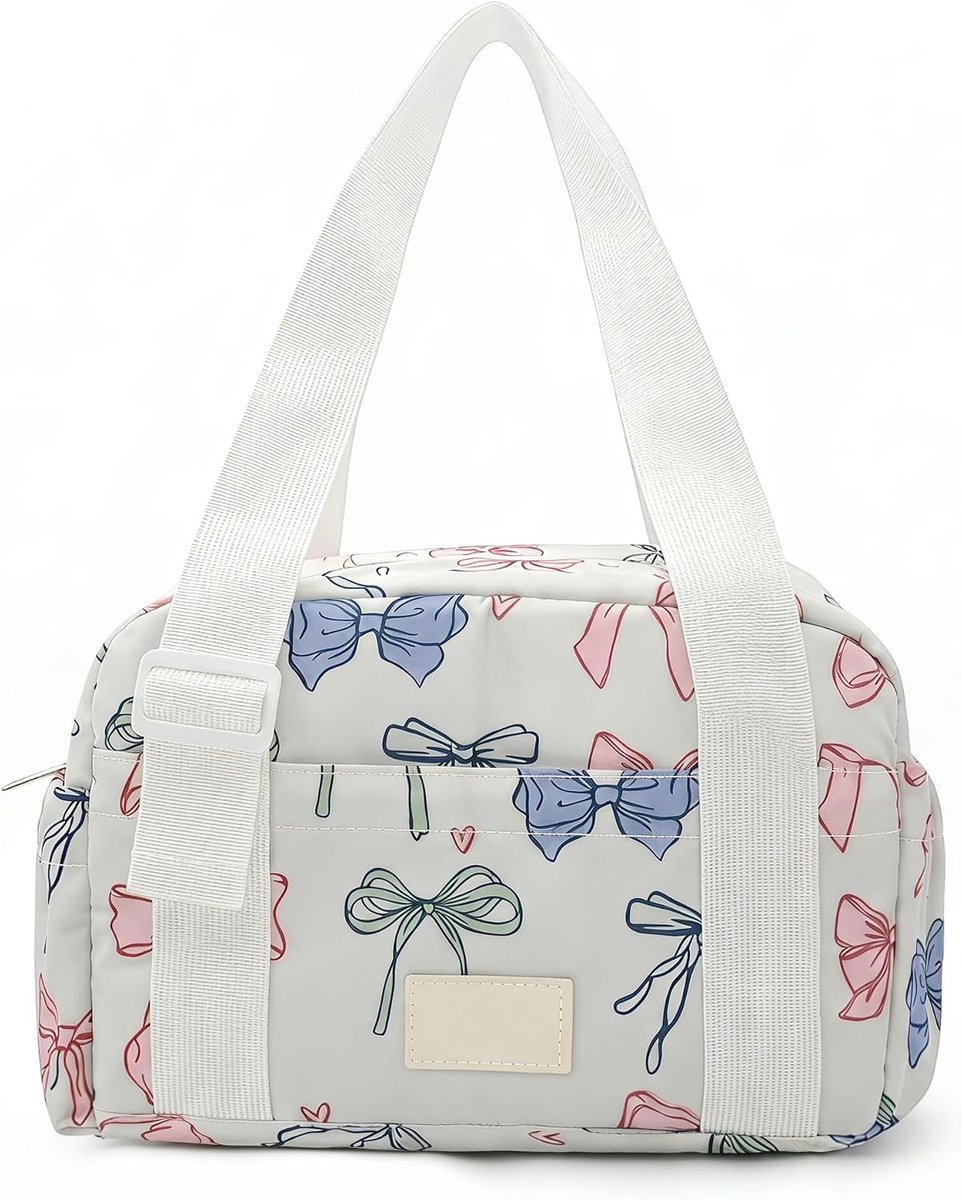 Herbruikbare 6L geïsoleerde lunchtas voor volwassenen, verstelbare draagtas, lekvrije koelbox voor werk en reizen, ideaal voor dames en heren