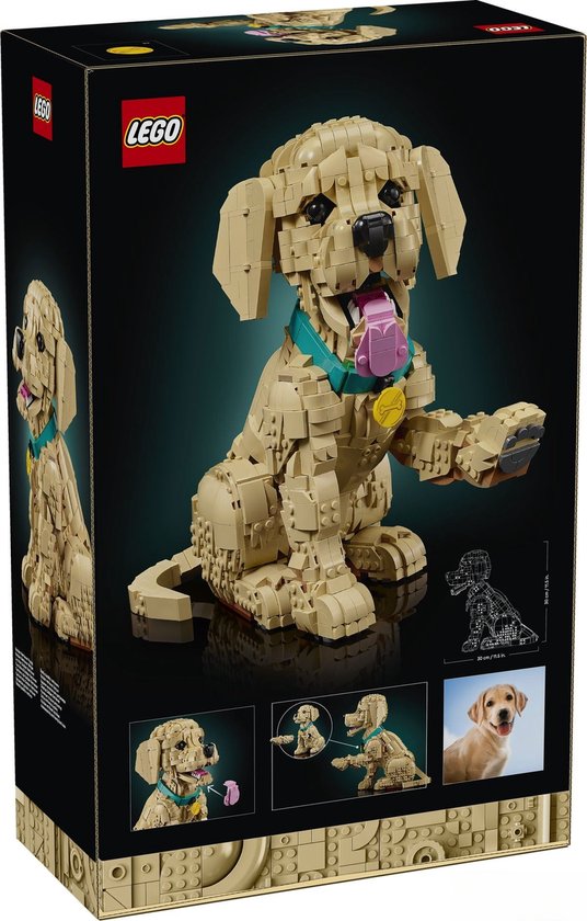LEGO® Icons Golden Retriever Puppy - Decoratieve Dierenfiguur - Bouwset voor Volwassenen - 11384