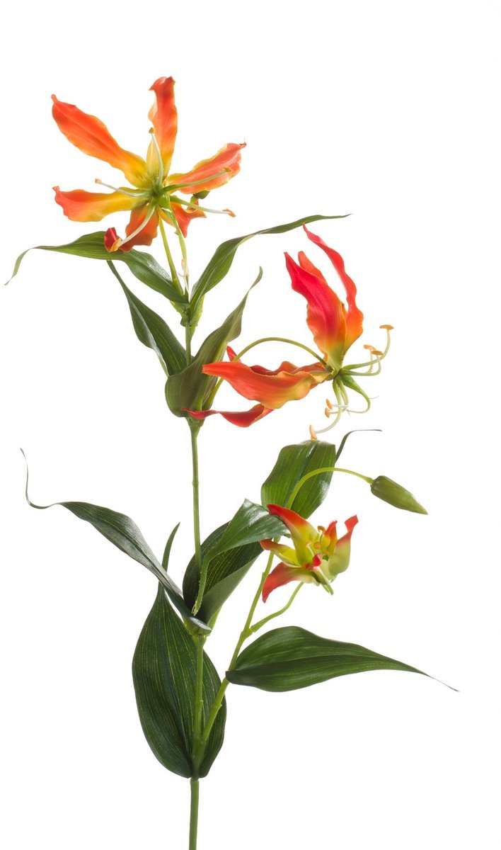 Emerald Kunstbloem Gloriosa 75cm oranje - Kunstplant voor binnen