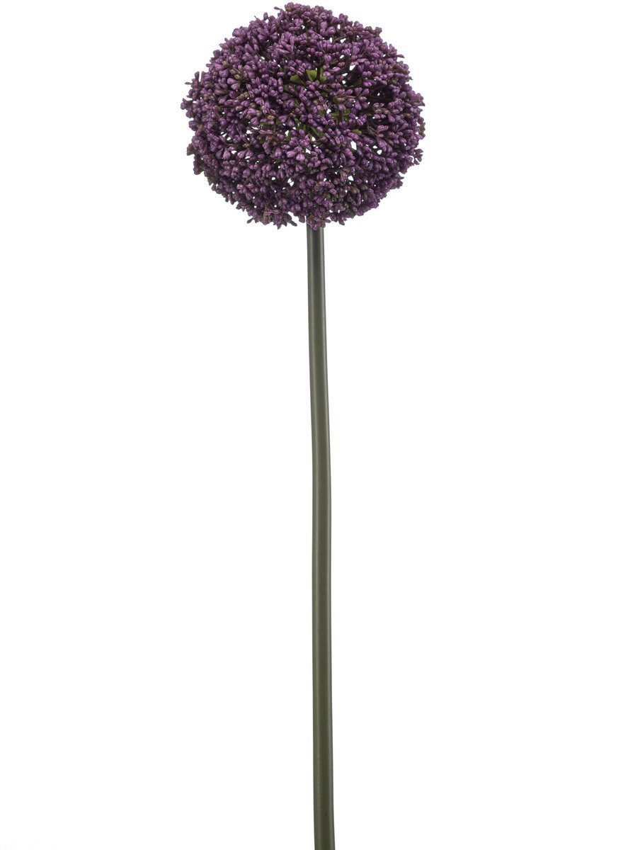 Emerald Kunstbloem Allium paars 74cm - Kunstplant voor binnen