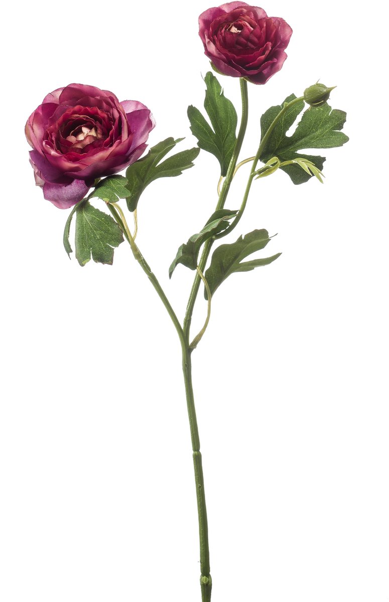 Emerald Kunstbloem Ranonkel 46cm paars - Kunstplant voor binnen