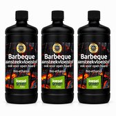 Kieselgreen Geurloze Bio Ethanol Aanmaakgel 3 x 1 Liter Voordeelverpakking Ecologische Aanmaakvloeistof voor BBQ en Haard