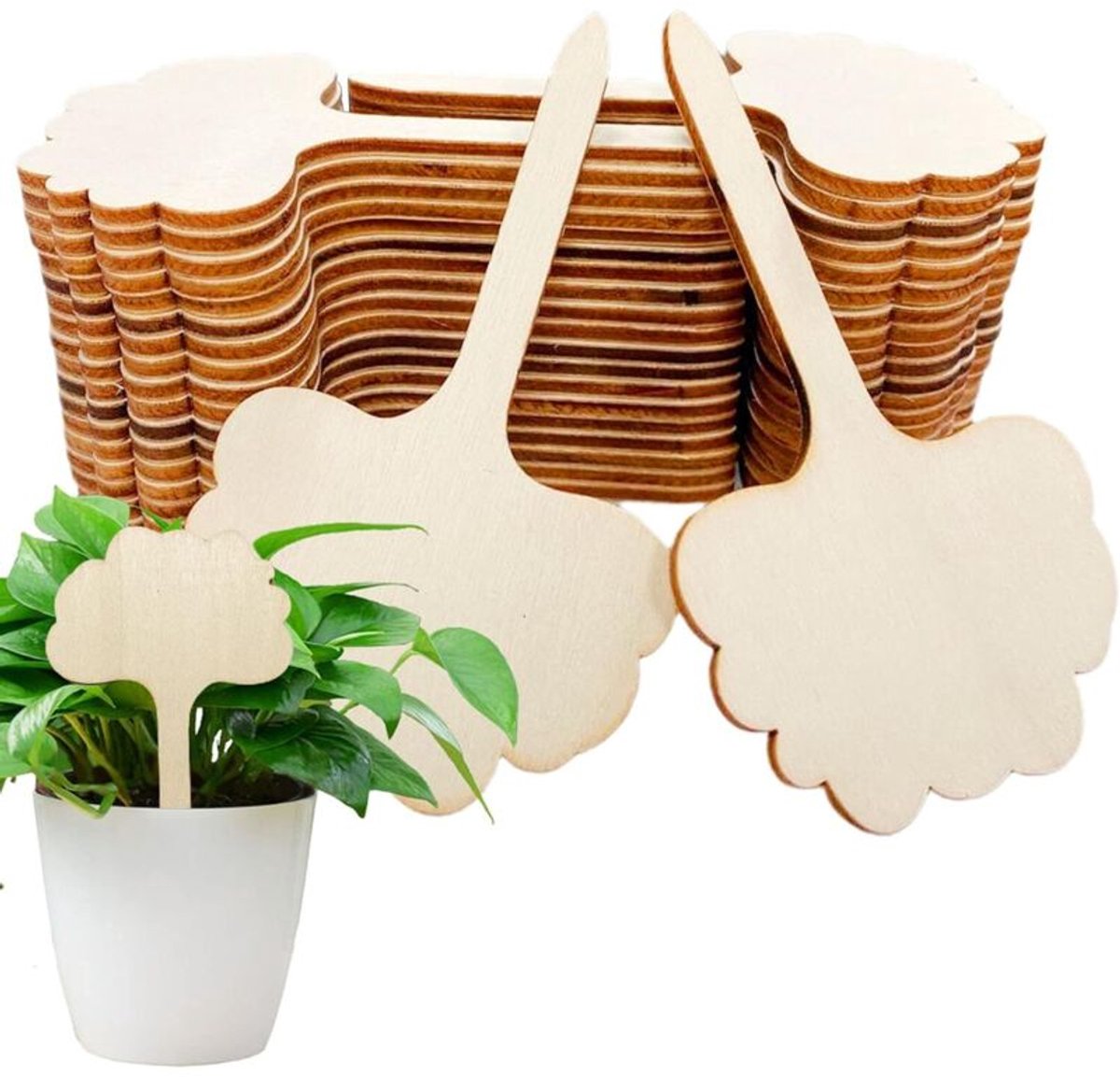 Houten plantenetiketten, bamboe plantenetiketten, houten D-type bordjes