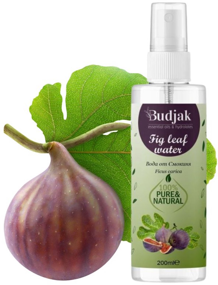 Biologische Vijgenbladbloemenwater (Ficus carica) – verjongt - kalmeert de huid - fruitig-zoet aroma 200ml