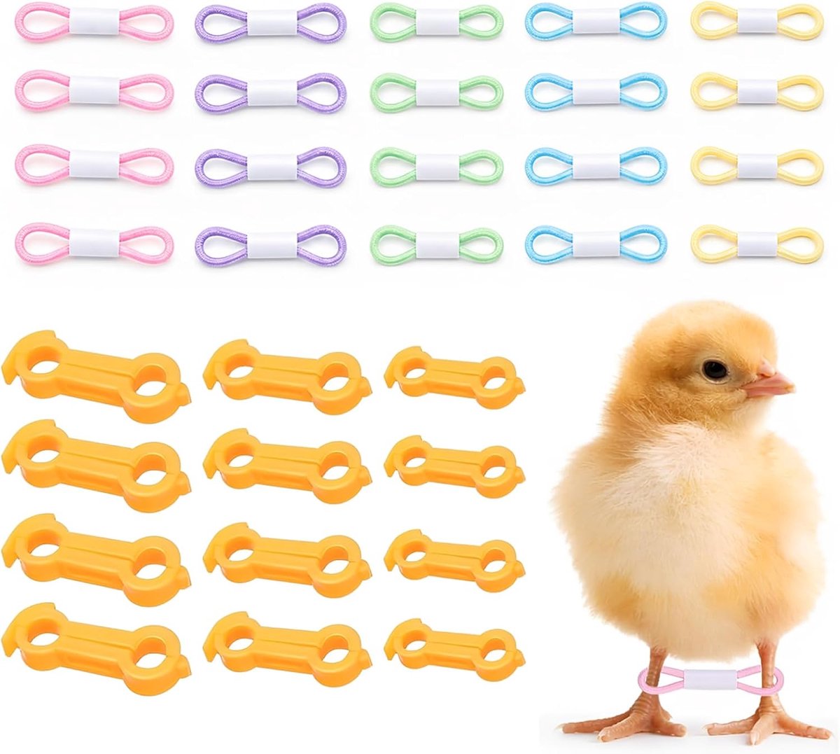 32 Stück Küken Beine Korrektur Beinbänder, Spreizbeinstütze für Küken Wachteln und Enten, inkl. 12 - ShopVlot