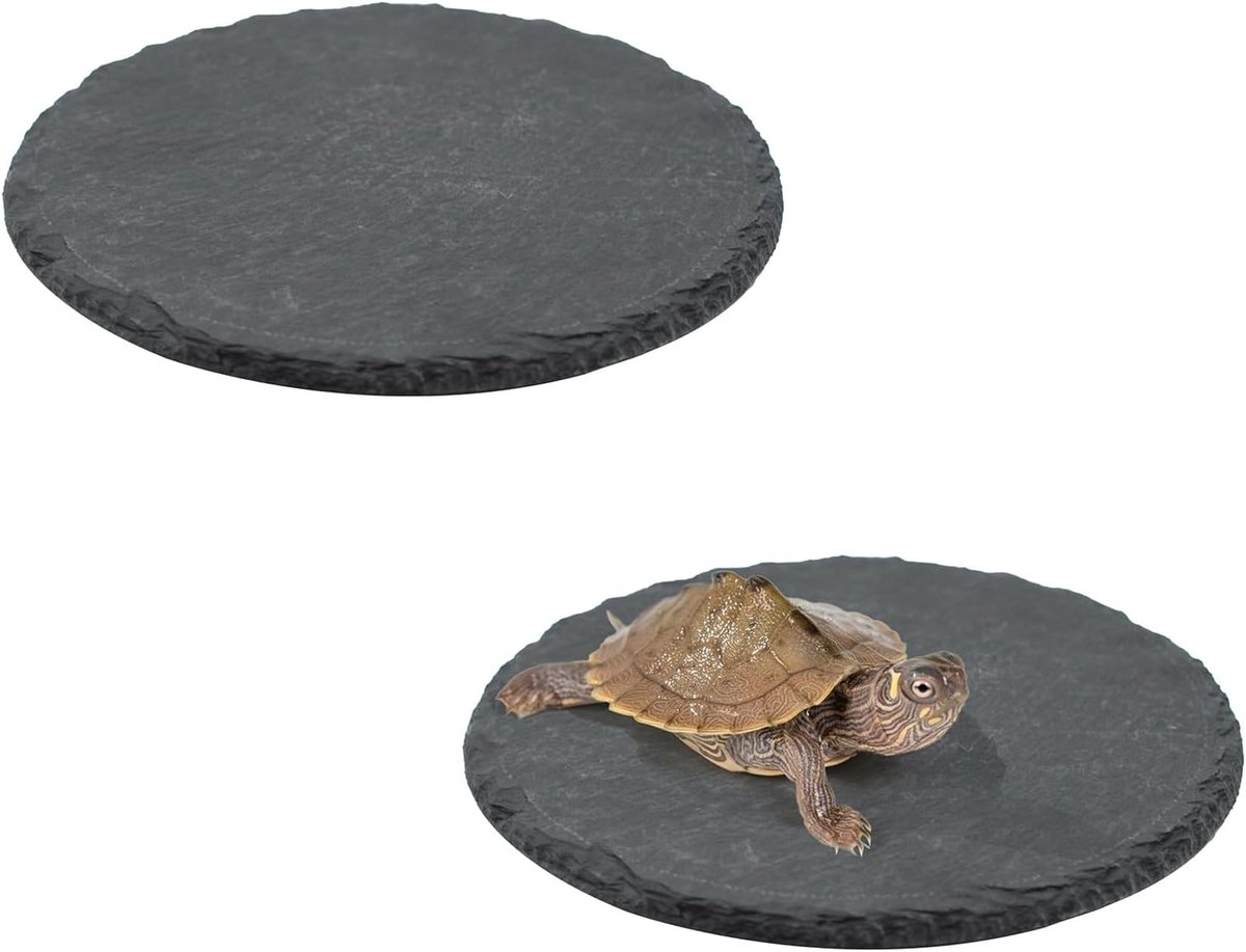 2 stuks ronde leisteenplaat voor reptielen, kom voor baden, rusten en voeden, natuurlijk steenaccessoire voor - ShopVlot