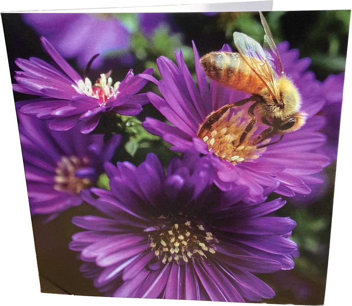 Bees and Flower Square Blank Birthday Card - ShopVlot