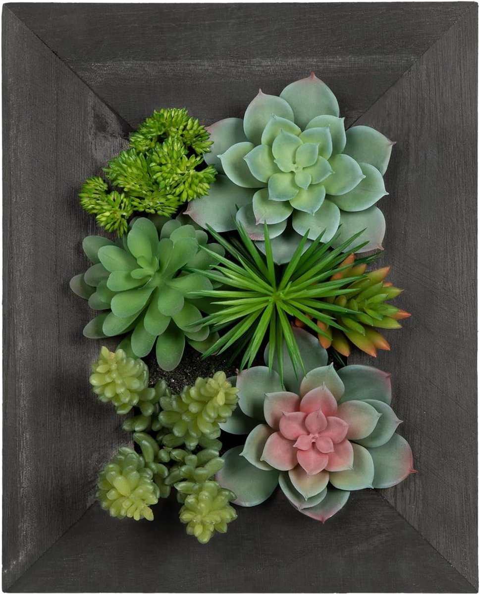 Kunstplant Succulent 3D Wanddecoratie - Hangend in Houten Pot - Country Stijl - Perfect voor Binnen en Buiten - ShopVlot