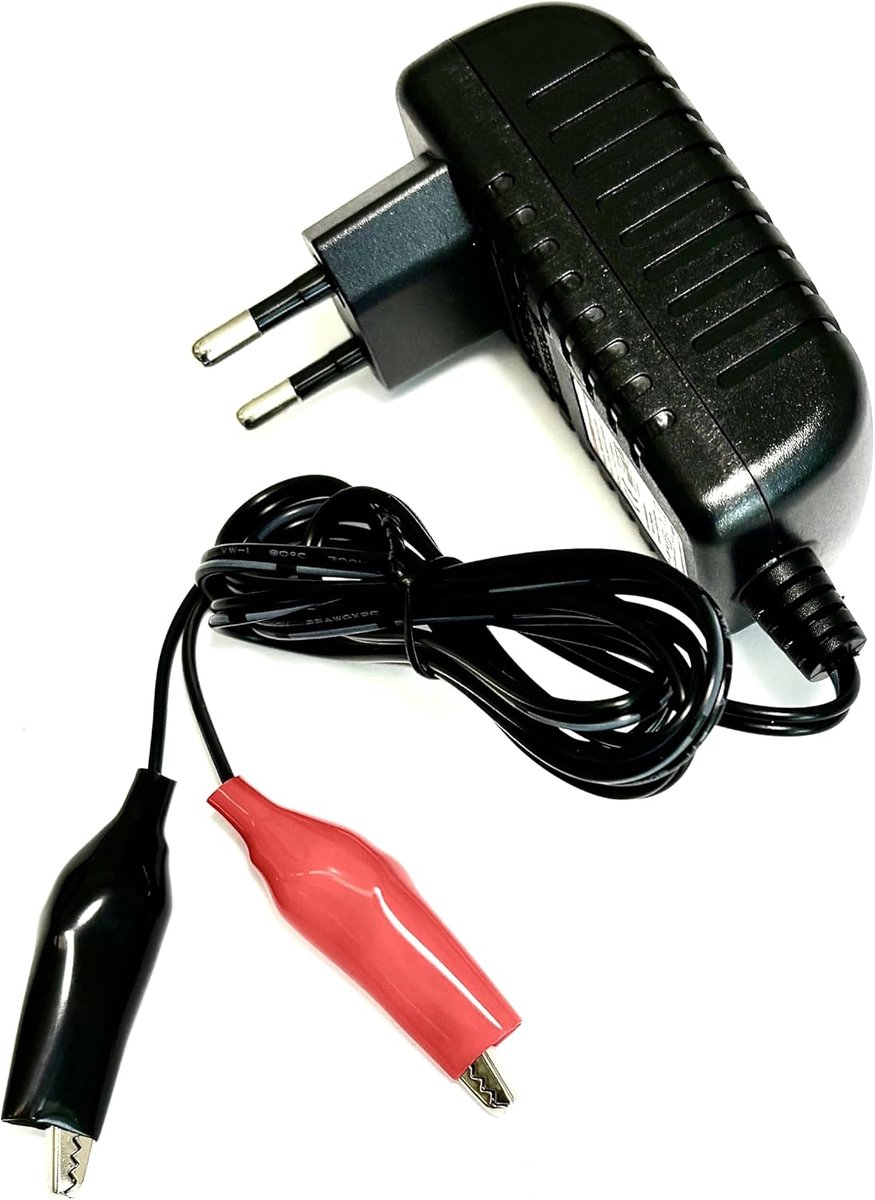 Enerpower Steck Charger for 6V Batteries LifePO4 / Lead 2S 1A with Crocodile Clips (Charging Voltage: 7.2V) - ShopVlot