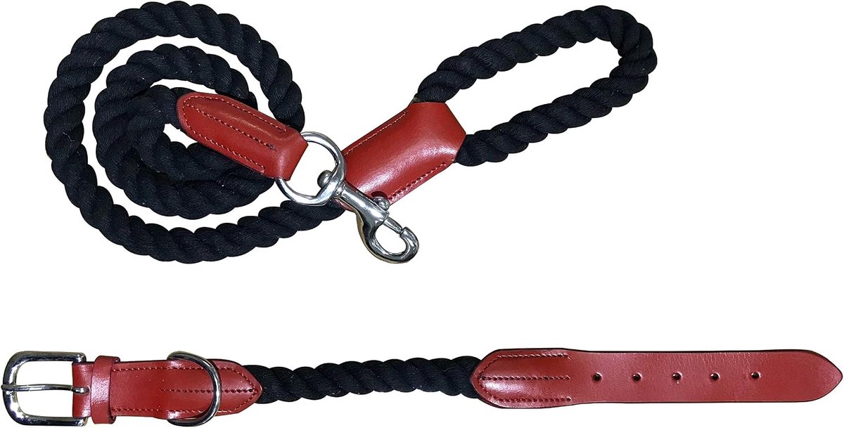Genuine Leather Matching Pair Dog Collar and Lead Set - L (17-21 Inches) - ShopVlot