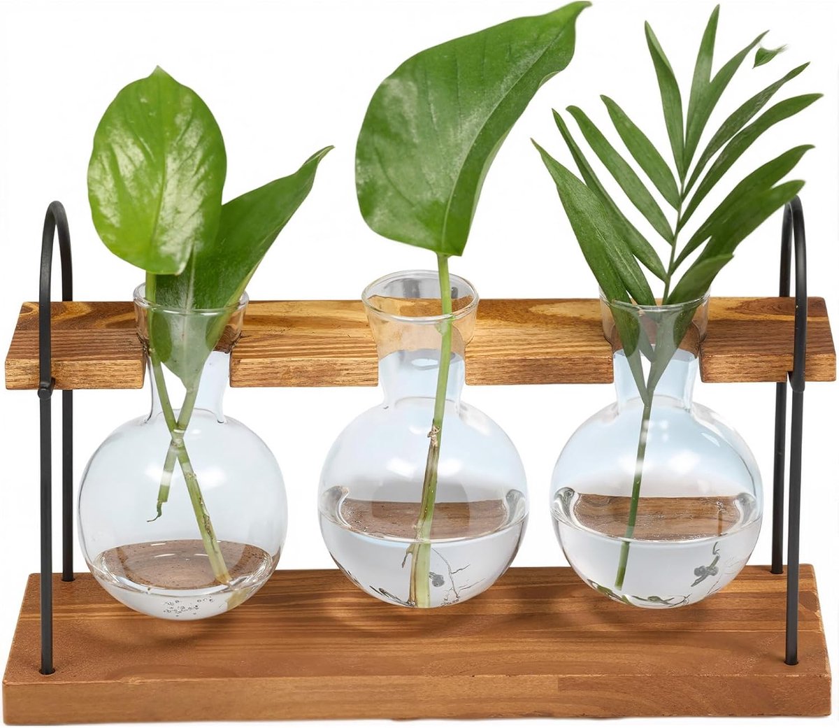 Reagenzglazen met rek - borosilicaatglas - houten standaard - ideaal voor hydrocultuurplanten - ShopVlot