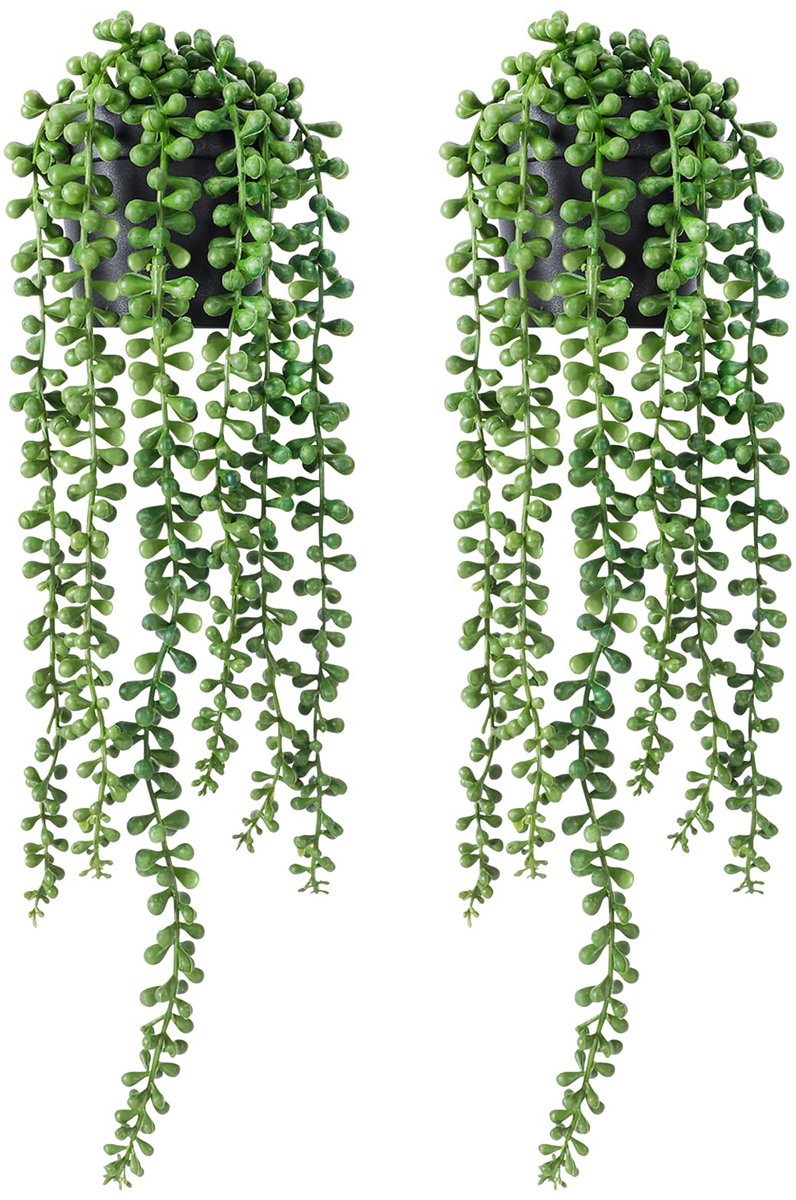 SnelShoppen - 2 Stuks Kunstplanten voor Binnen - Realistische Nephangende Planten met Zwarte Potten - Kunstmatige Succulenten en Parelsnoer - Perfect