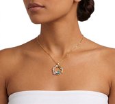 Goudkleurige ketting voor dames met ronde hanger dolfijn ster en strass