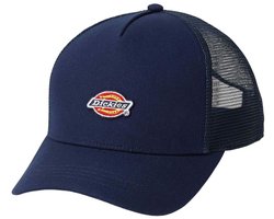 DICKIES DK0A4YV3L181 Blauw N/A EU
