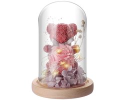 Dailygoods - IVEOPPE Eeuwige rozenbeer in glas, met led-licht en houten sokkel, cadeau voor vrouwen, verjaardagscadeau voor vrouwen, rozenbeer voor vriendin, vrouw, op Moederdag, verjaardag, Valentijnsdag