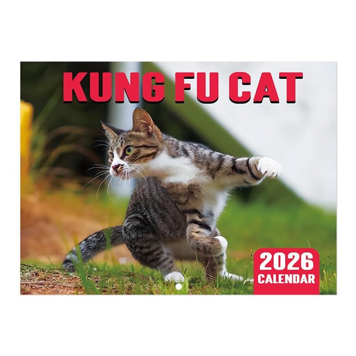 Dailygoods- Kattenkalender 2026 - Wandkalender - Tafelkalender - Grappige katten - Hoogwaardige afdrukken - 12 maanden