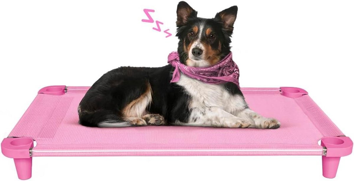 Verhoogd Hondenkussen - Hondenmand - Comfortabel Rusten - Ademend Mesh - 102 x 61 cm - Roze